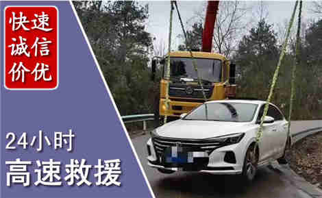 天峨高速公路救援场景与案例